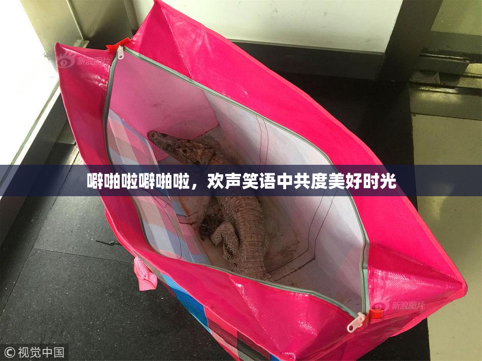 噼啪啦噼啪啦，欢声笑语中共度美好时光