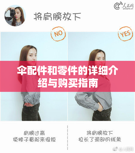 伞配件和零件的详细介绍与购买指南