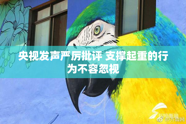 央视发声严厉批评 支撑起重的行为不容忽视