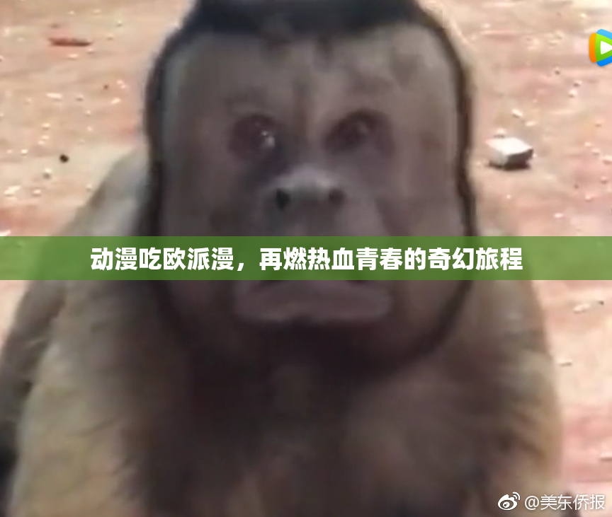 动漫吃欧派漫，再燃热血青春的奇幻旅程
