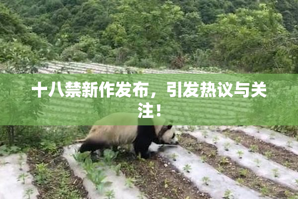 十八禁新作发布，引发热议与关注！