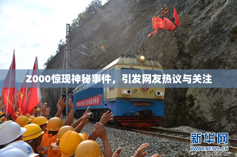 Z000惊现神秘事件，引发网友热议与关注