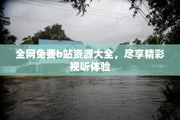 全网免费b站资源大全，尽享精彩视听体验