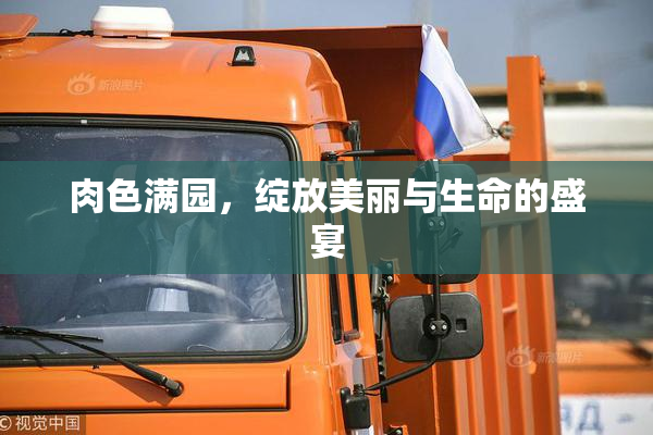 肉色满园，绽放美丽与生命的盛宴