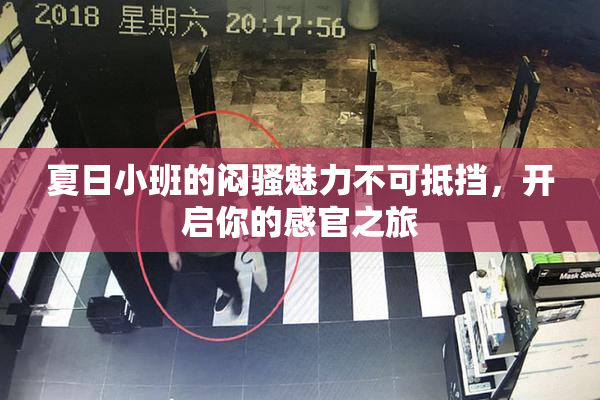 夏日小班的闷骚魅力不可抵挡，开启你的感官之旅