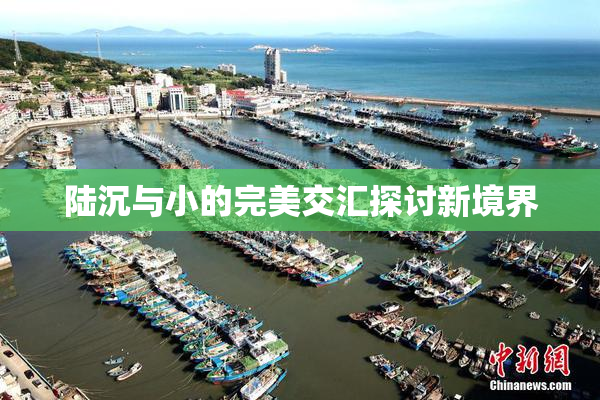 陆沉与小的完美交汇探讨新境界