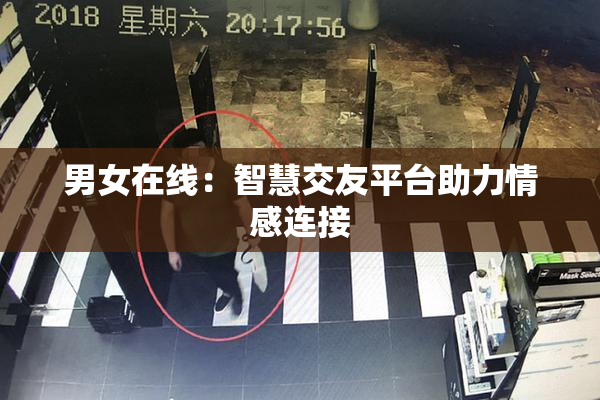 男女在线：智慧交友平台助力情感连接