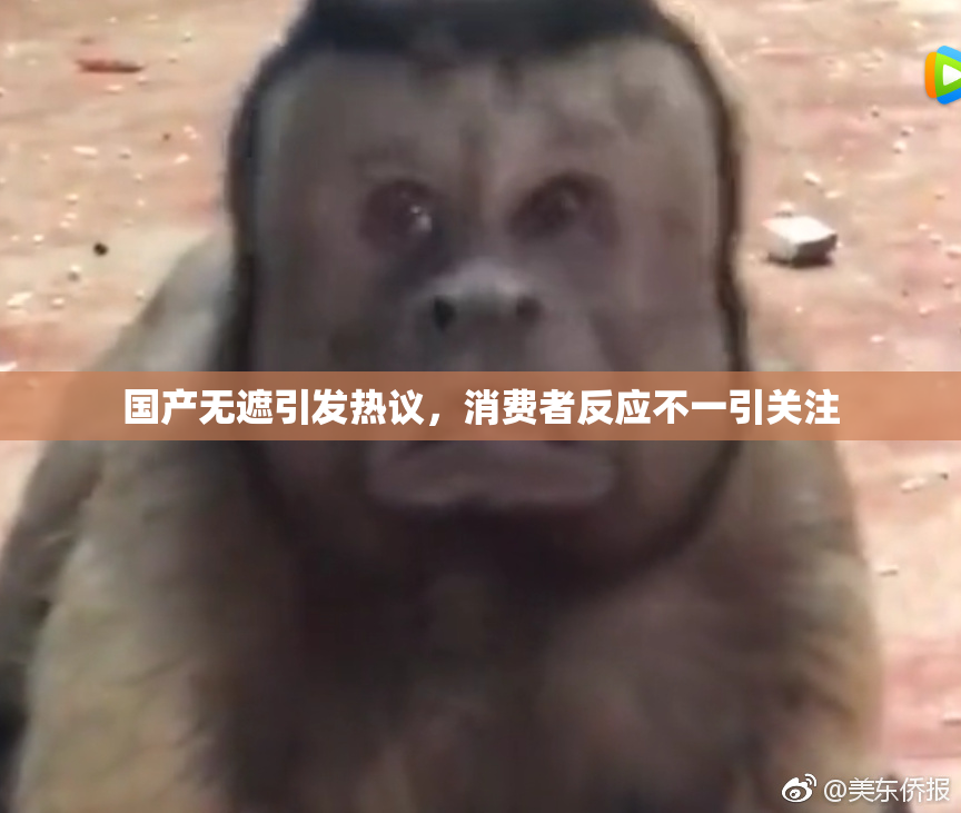 国产无遮引发热议，消费者反应不一引关注