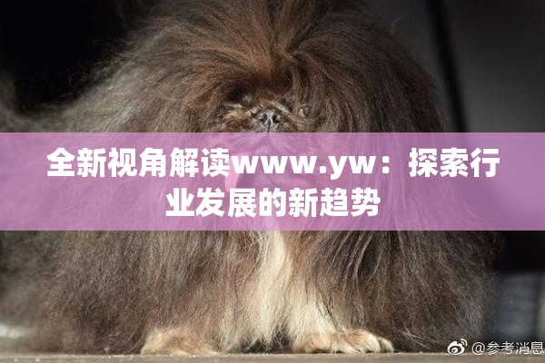 全新视角解读www.yw：探索行业发展的新趋势