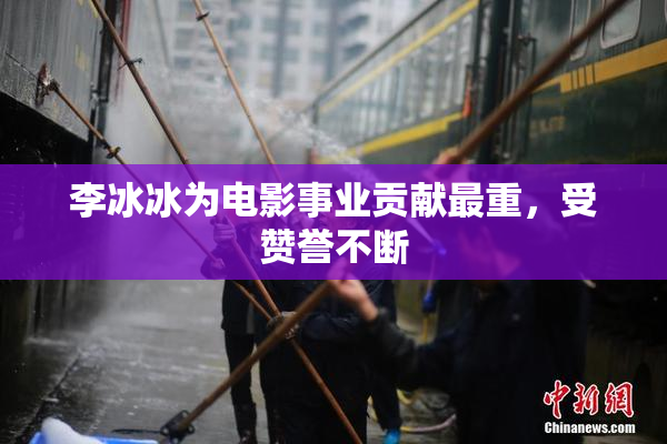 李冰冰为电影事业贡献最重，受赞誉不断
