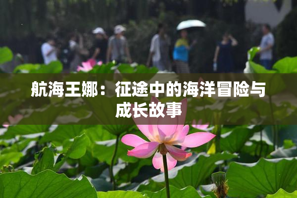航海王娜：征途中的海洋冒险与成长故事