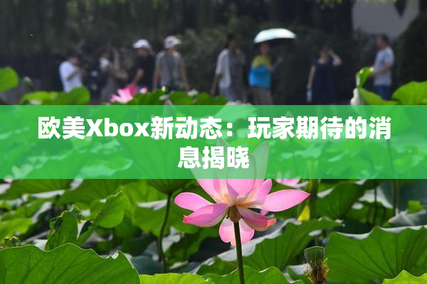欧美Xbox新动态：玩家期待的消息揭晓