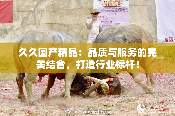 久久国产精品：品质与服务的完美结合，打造行业标杆！