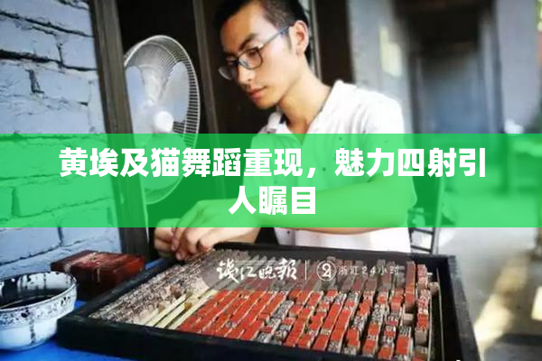 黄埃及猫舞蹈重现，魅力四射引人瞩目
