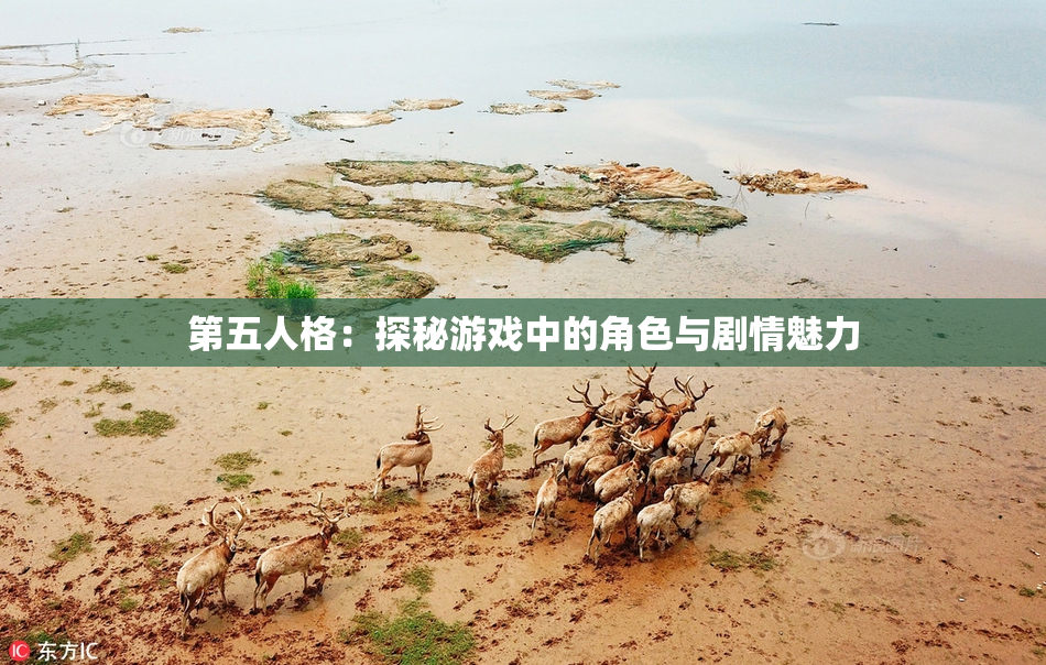 第五人格：探秘游戏中的角色与剧情魅力