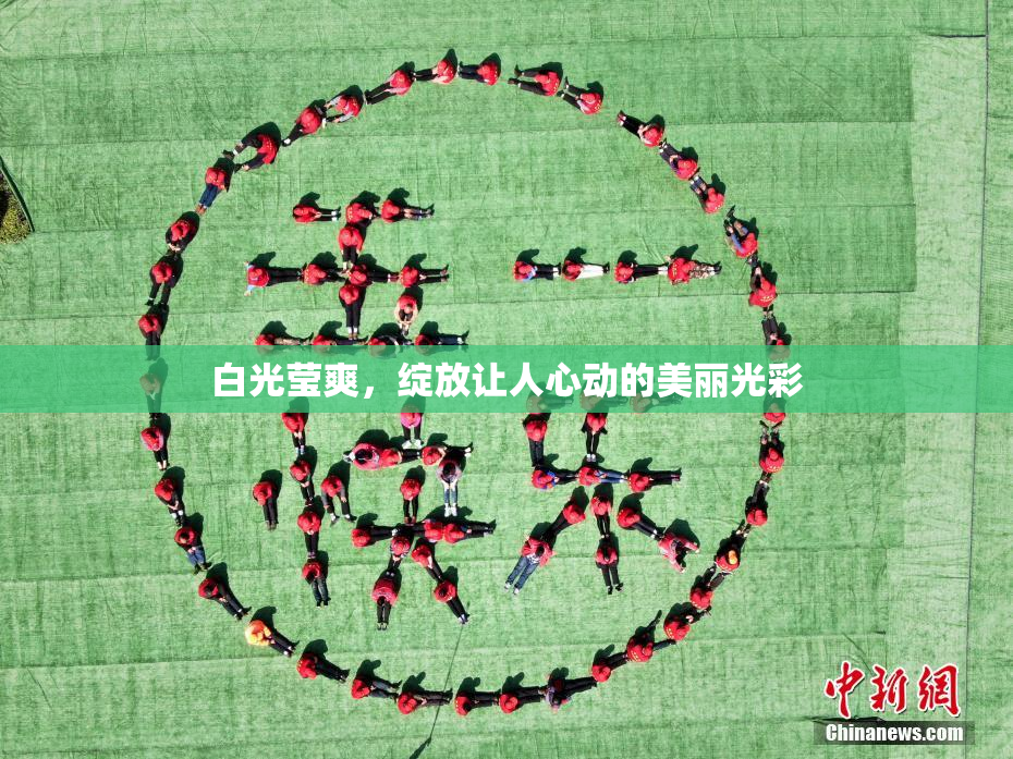 白光莹爽，绽放让人心动的美丽光彩