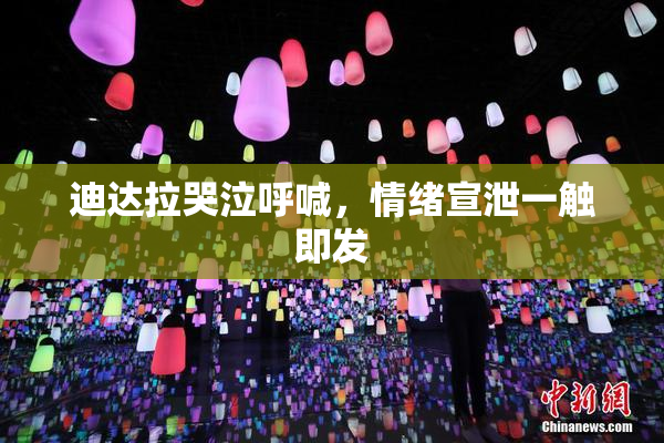 迪达拉哭泣呼喊，情绪宣泄一触即发