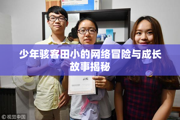 少年骇客田小的网络冒险与成长故事揭秘