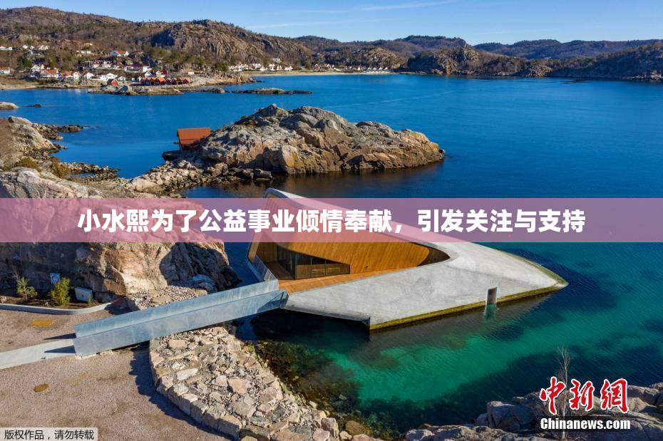 小水熙为了公益事业倾情奉献，引发关注与支持