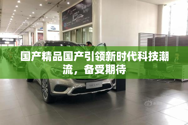国产精品国产引领新时代科技潮流，备受期待