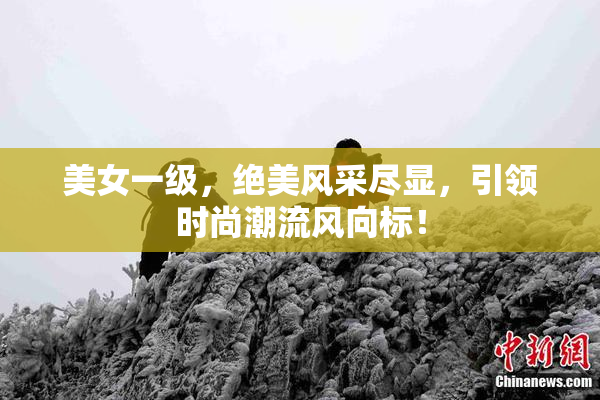美女一级，绝美风采尽显，引领时尚潮流风向标！