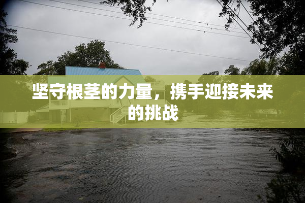 坚守根茎的力量，携手迎接未来的挑战