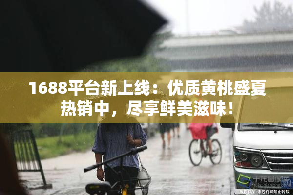 1688平台新上线：优质黄桃盛夏热销中，尽享鲜美滋味！