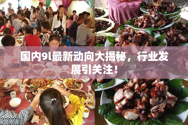 国内9l最新动向大揭秘，行业发展引关注！