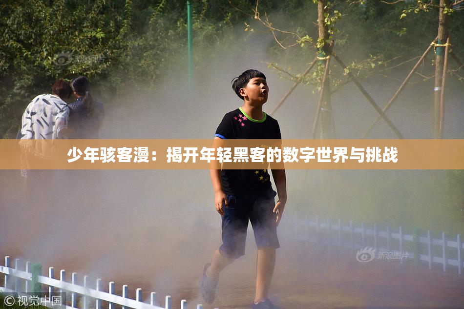 少年骇客漫：揭开年轻黑客的数字世界与挑战