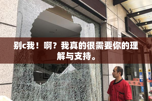 别c我！啊？我真的很需要你的理解与支持。