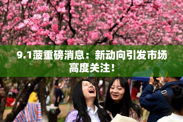 9.1菠重磅消息：新动向引发市场高度关注！