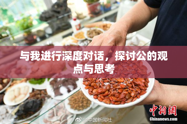 与我进行深度对话，探讨公的观点与思考