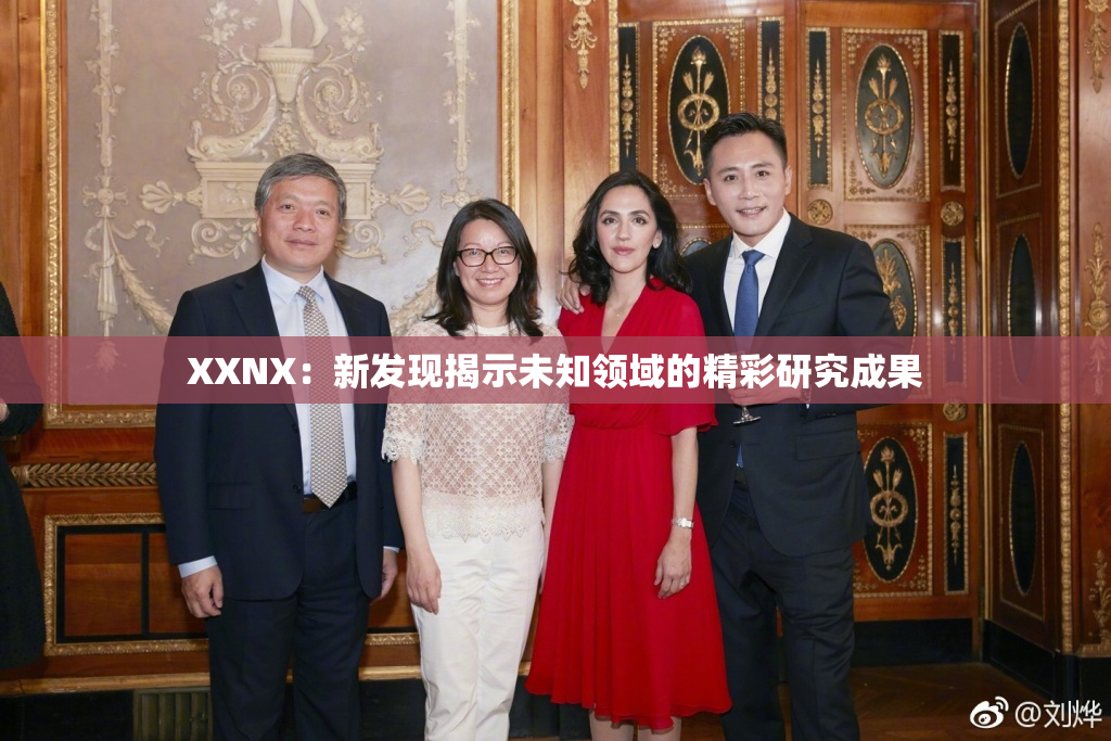 XXNX：新发现揭示未知领域的精彩研究成果