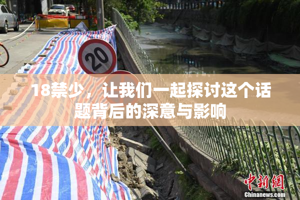 18禁少，让我们一起探讨这个话题背后的深意与影响