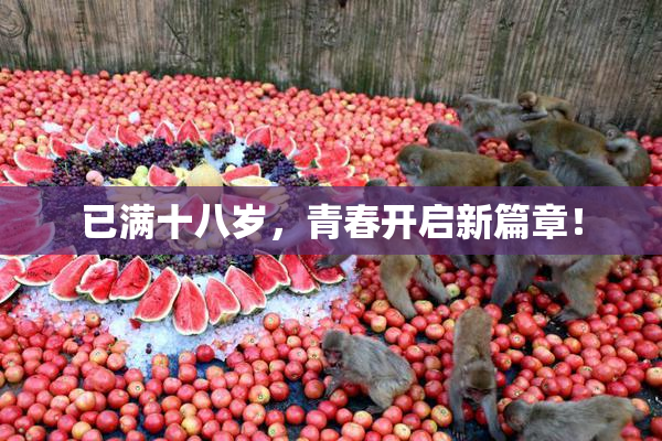 已满十八岁，青春开启新篇章！