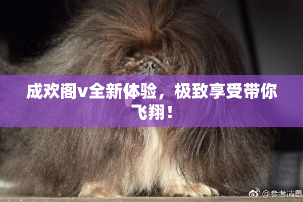 成欢阁v全新体验，极致享受带你飞翔！
