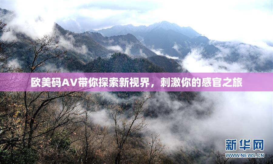 欧美码AV带你探索新视界，刺激你的感官之旅
