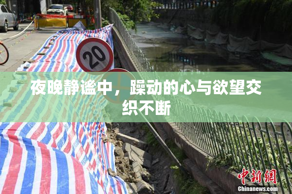 夜晚静谧中，躁动的心与欲望交织不断