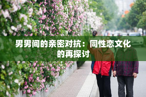 男男间的亲密对抗：同性恋文化的再探讨