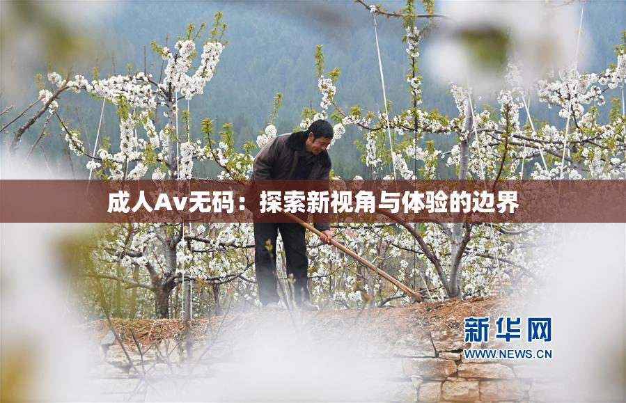 成人Av无码：探索新视角与体验的边界