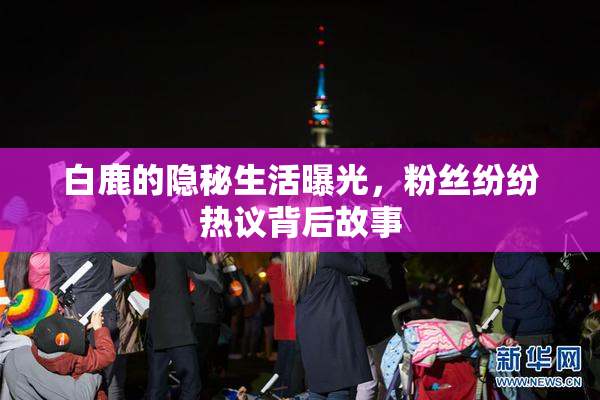白鹿的隐秘生活曝光，粉丝纷纷热议背后故事