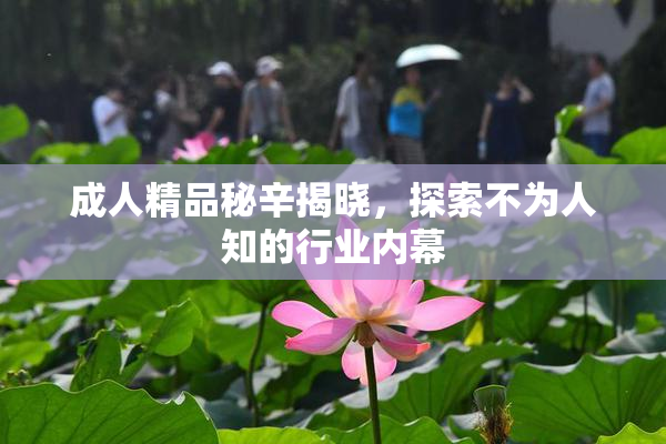 成人精品秘辛揭晓，探索不为人知的行业内幕