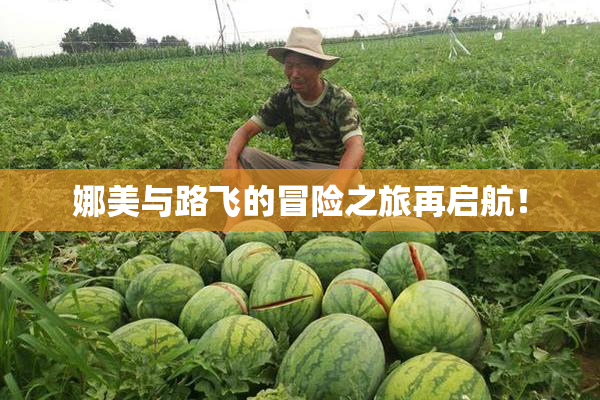 娜美与路飞的冒险之旅再启航！