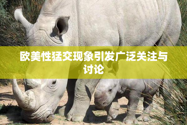 欧美性猛交现象引发广泛关注与讨论