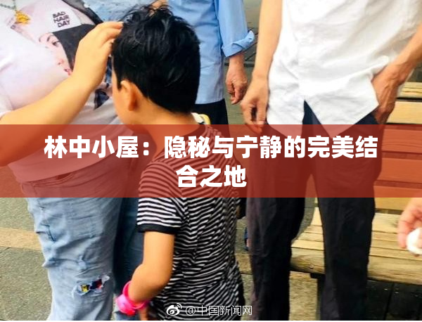 林中小屋：隐秘与宁静的完美结合之地