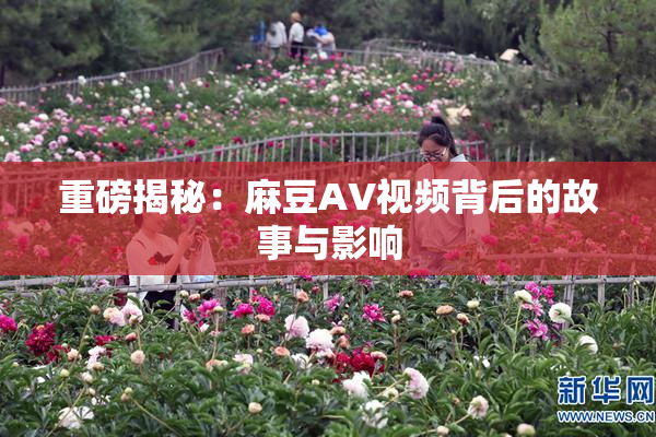 重磅揭秘：麻豆AV视频背后的故事与影响