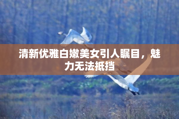 清新优雅白嫩美女引人瞩目，魅力无法抵挡