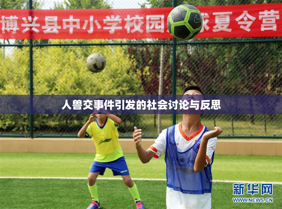 人兽交事件引发的社会讨论与反思