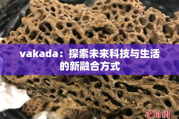 vakada：探索未来科技与生活的新融合方式