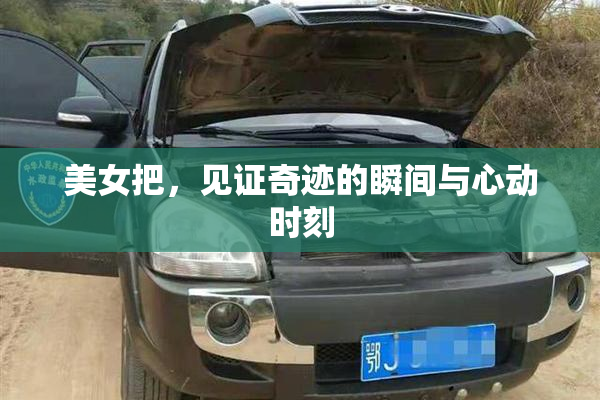 美女把，见证奇迹的瞬间与心动时刻